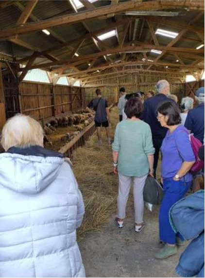 Transmission reprise agricole dans le Cordais et le Causse