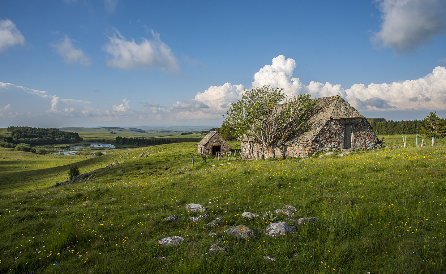 Parc Naturel Régional de l'Aubrac Adefpat